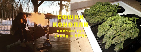 spice Горнозаводск