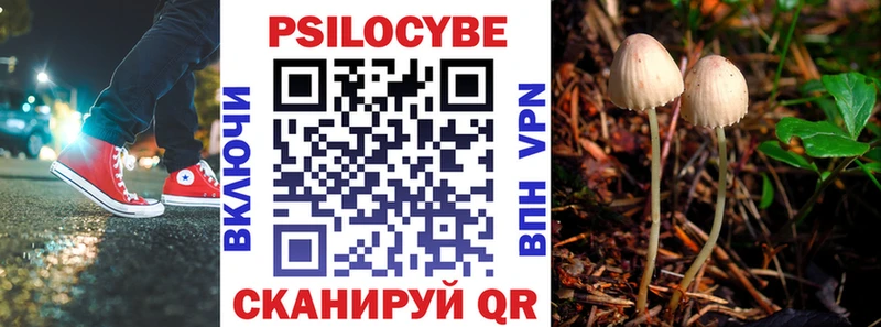 Купить закладки  Новочеркасск  Галлюциногенные грибы Psilocybe 